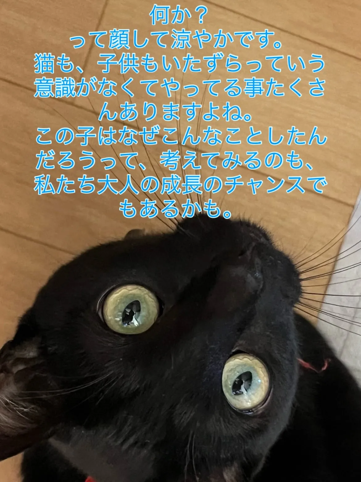 お子さんのいたずら、つい怒っちゃうことあります。