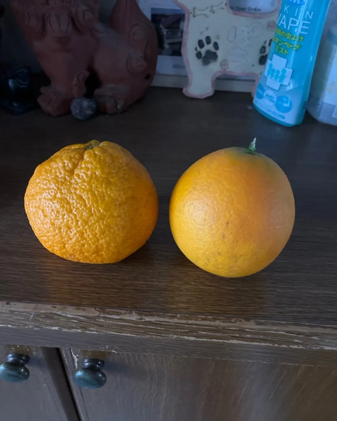 庭の果実も子育てとおんなじですね。