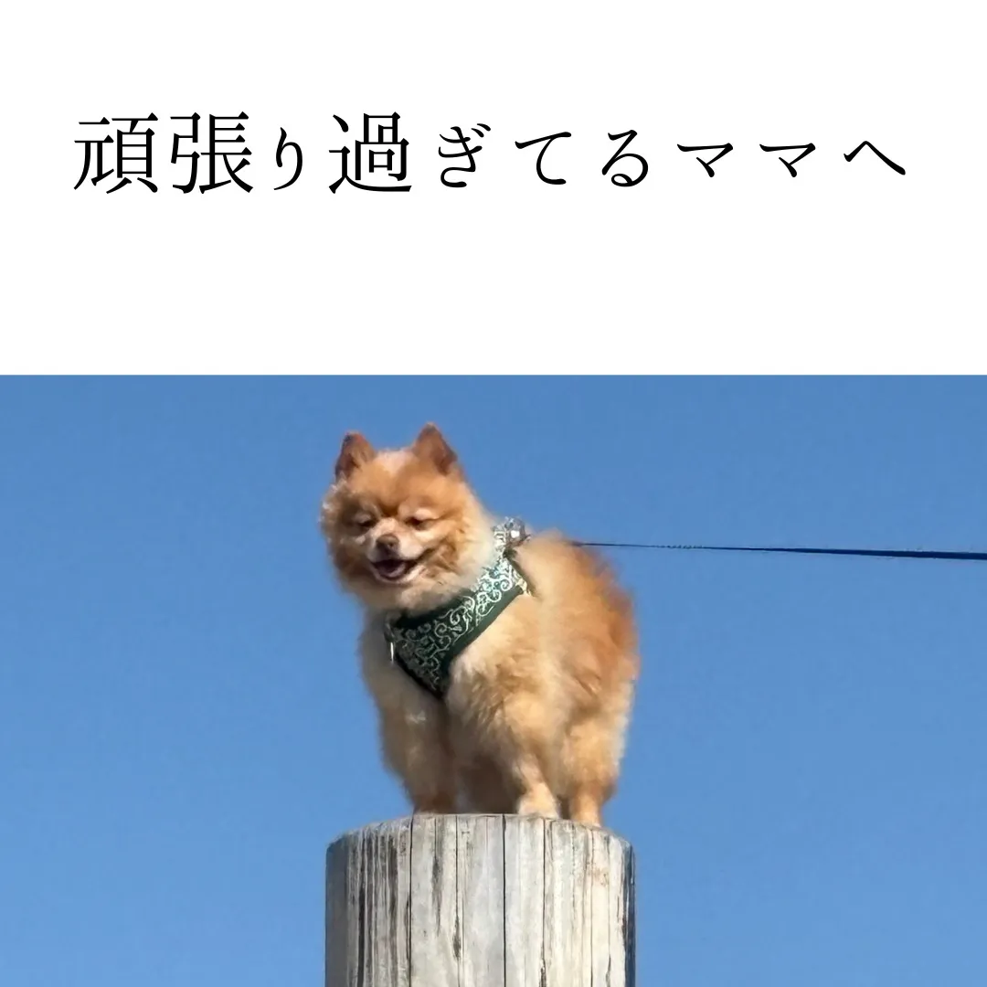 頑張りすぎているママへ。