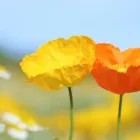 当カウンセリングの特徴