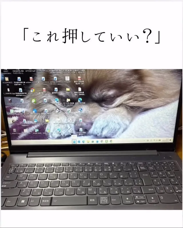 「これ押していい？」